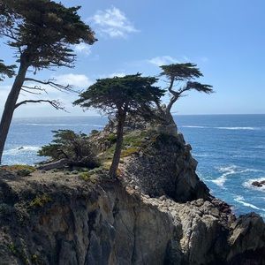 Meet your Posher, Leticia